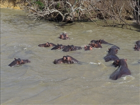 Hluhluwe River